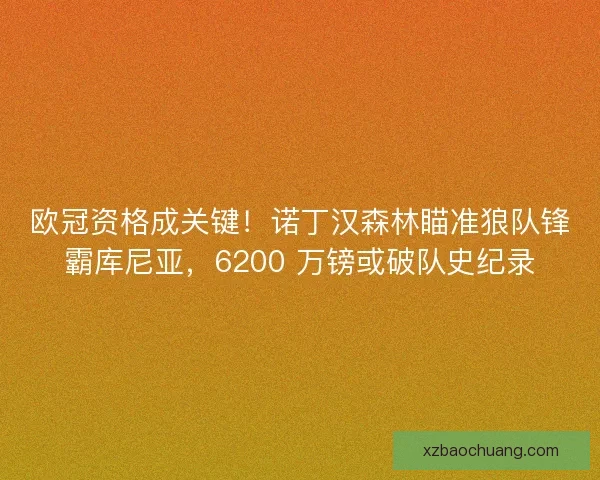 欧冠资格成关键！诺丁汉森林瞄准狼队锋霸库尼亚，6200 万镑或破队史纪录